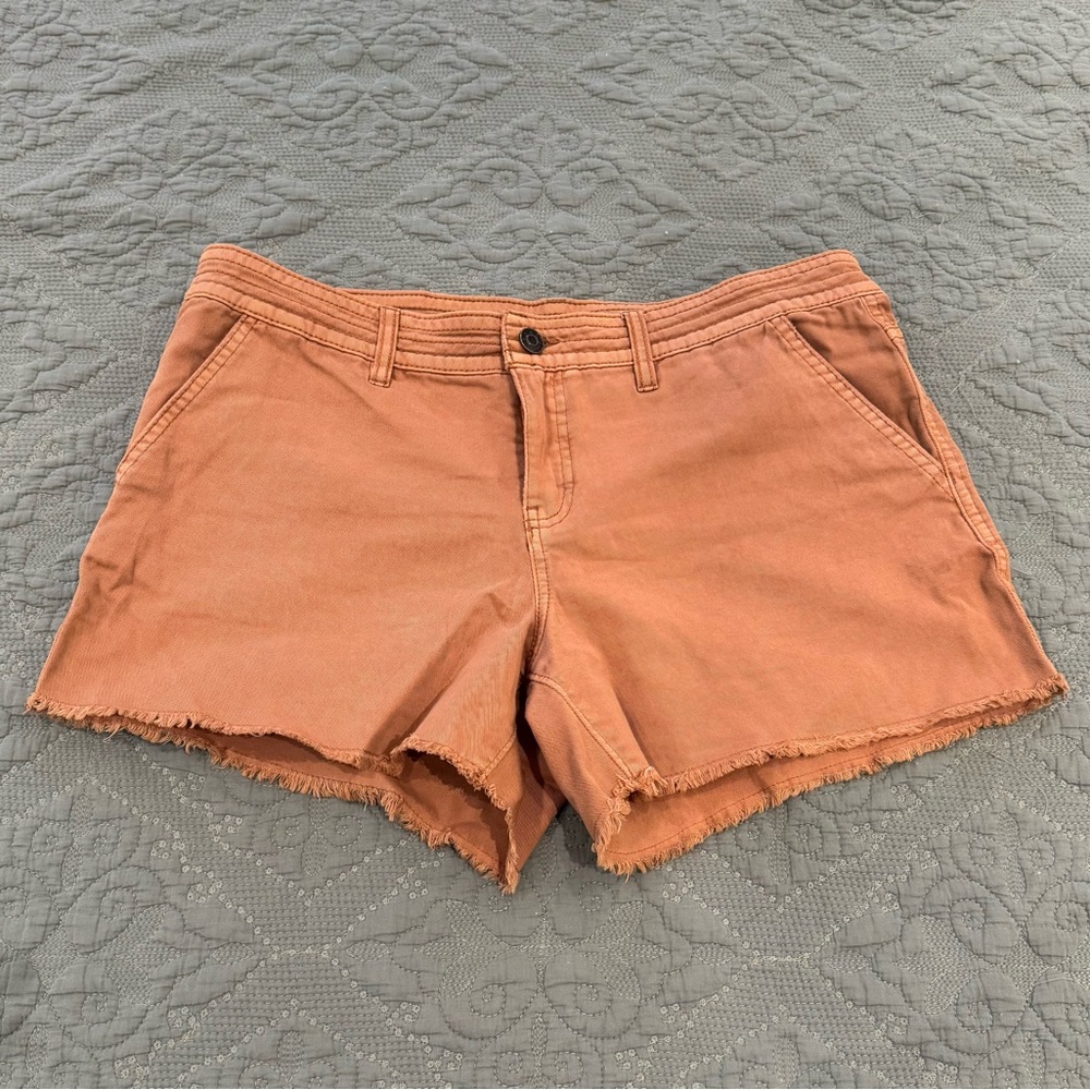 Prana Women's Brown Frayed Jean Shorts